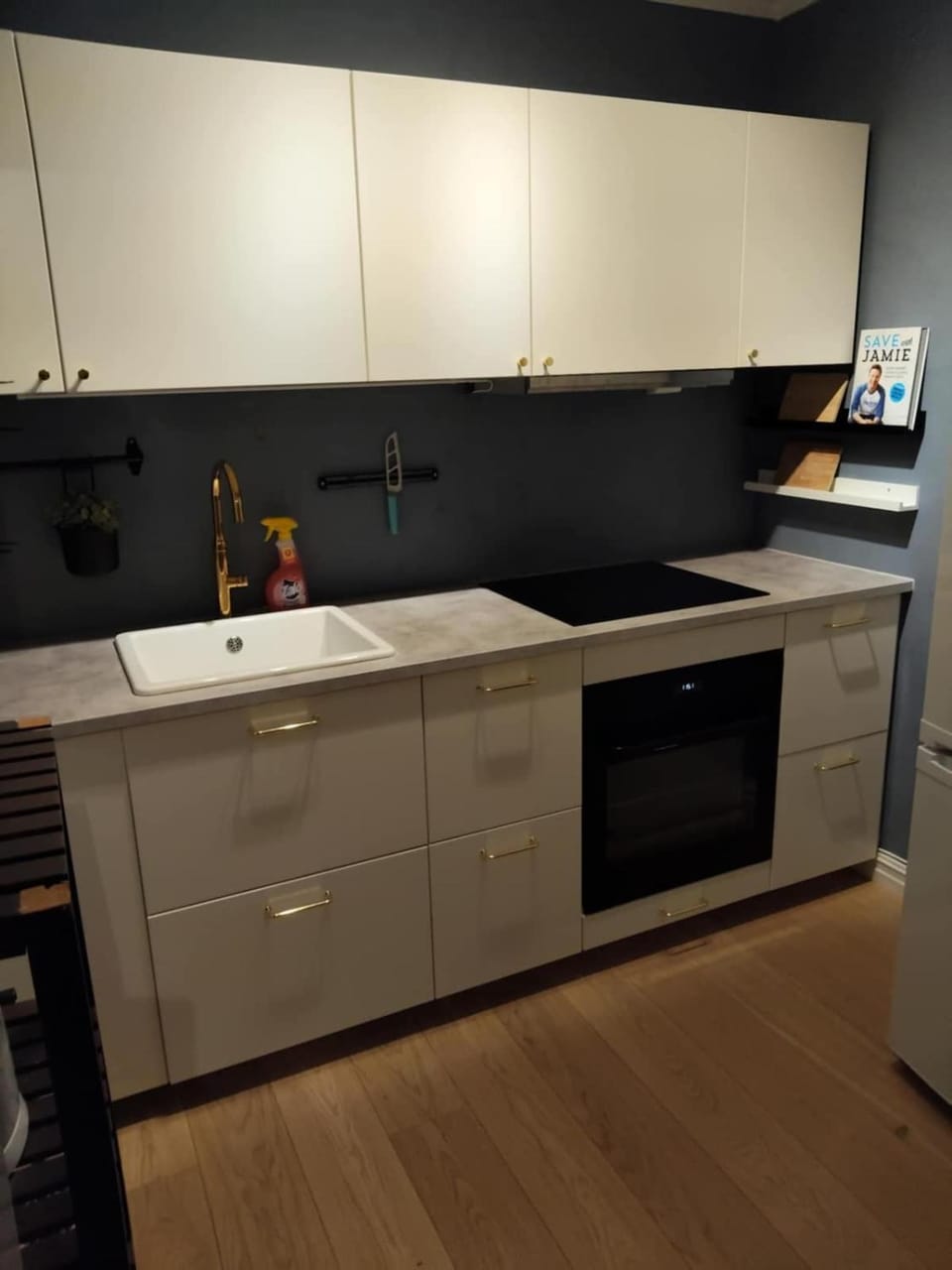 In the middle of the city, with garden and parking! Apartment in Viken, Norway