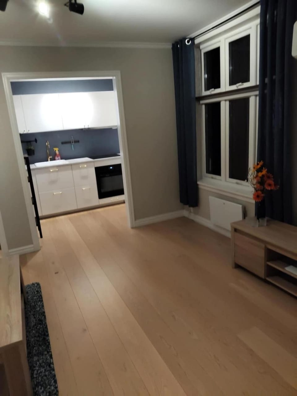 In the middle of the city, with garden and parking! Apartment in Viken, Norway