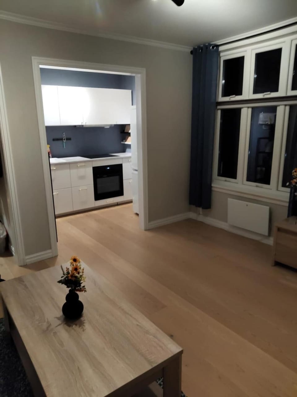 In the middle of the city, with garden and parking! Apartment in Viken, Norway