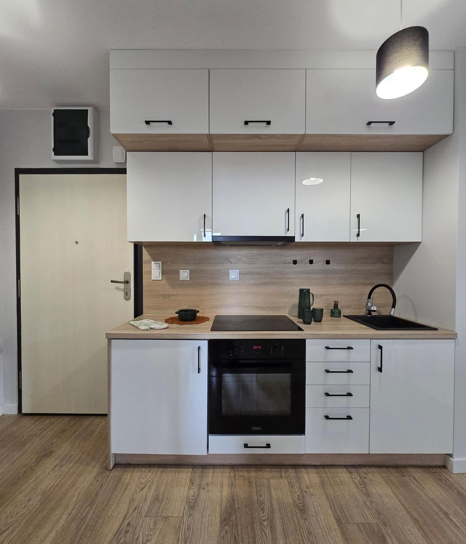 Kopalniana Street Apartment in Warsaw