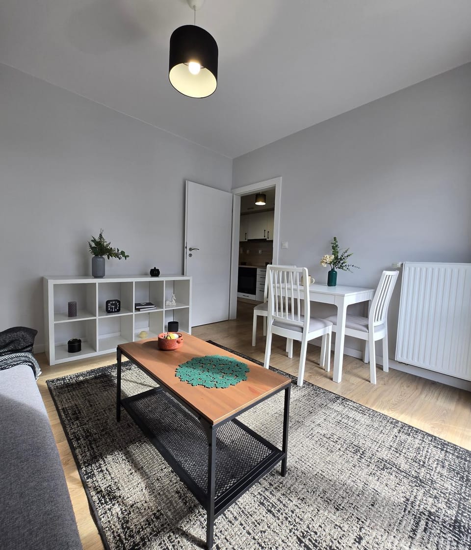 Kopalniana Street Apartment in Warsaw