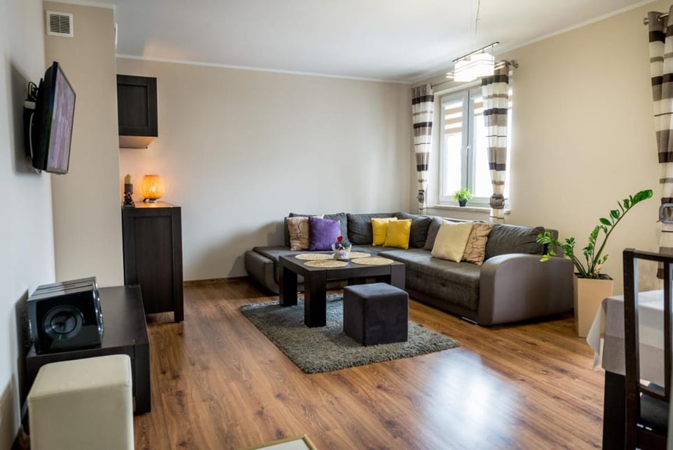 Communal lounge/ TV room, TV and multimedia, Living room, Seating area, Evening entertainment