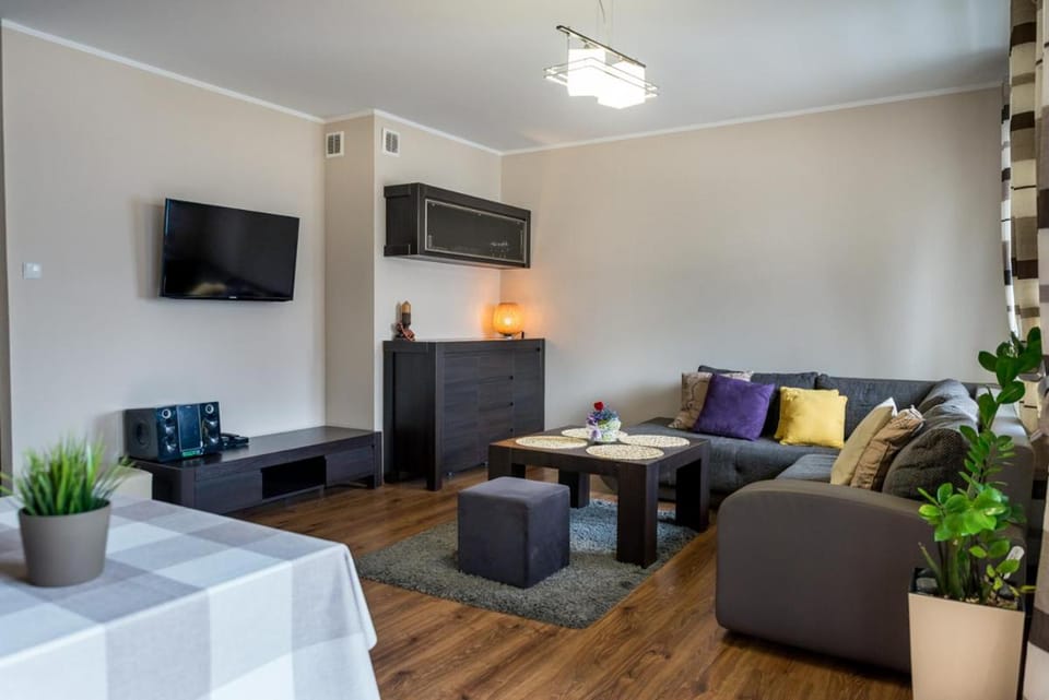 Communal lounge/ TV room, TV and multimedia, Living room, Seating area, Evening entertainment