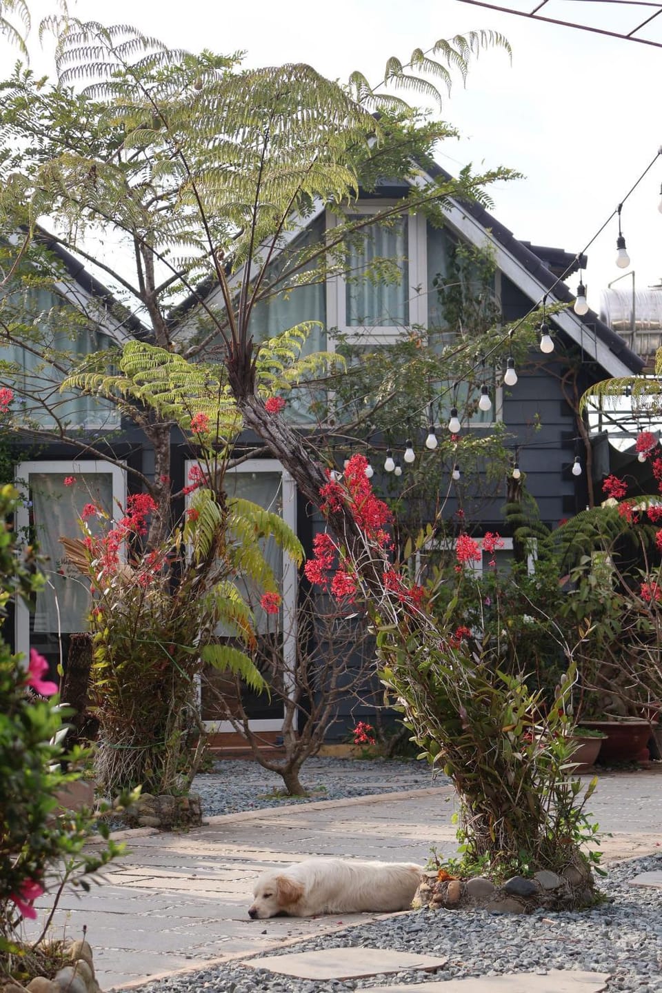 Property building, Spring, Day, Neighbourhood, Garden, Garden view