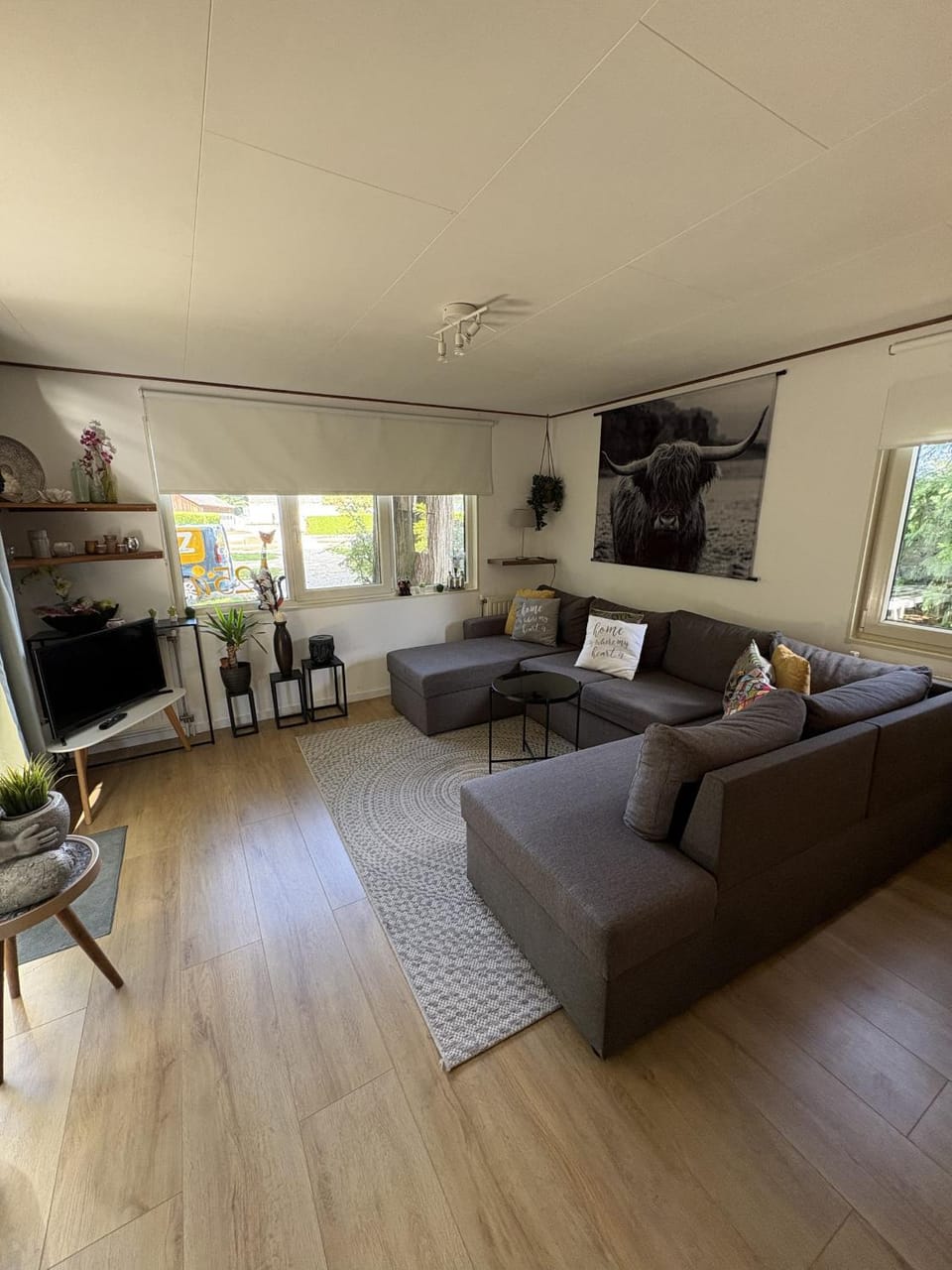 Communal lounge/ TV room, Living room