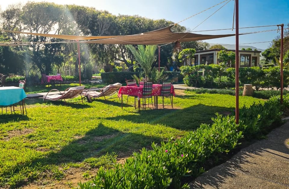 Day, Natural landscape, Garden