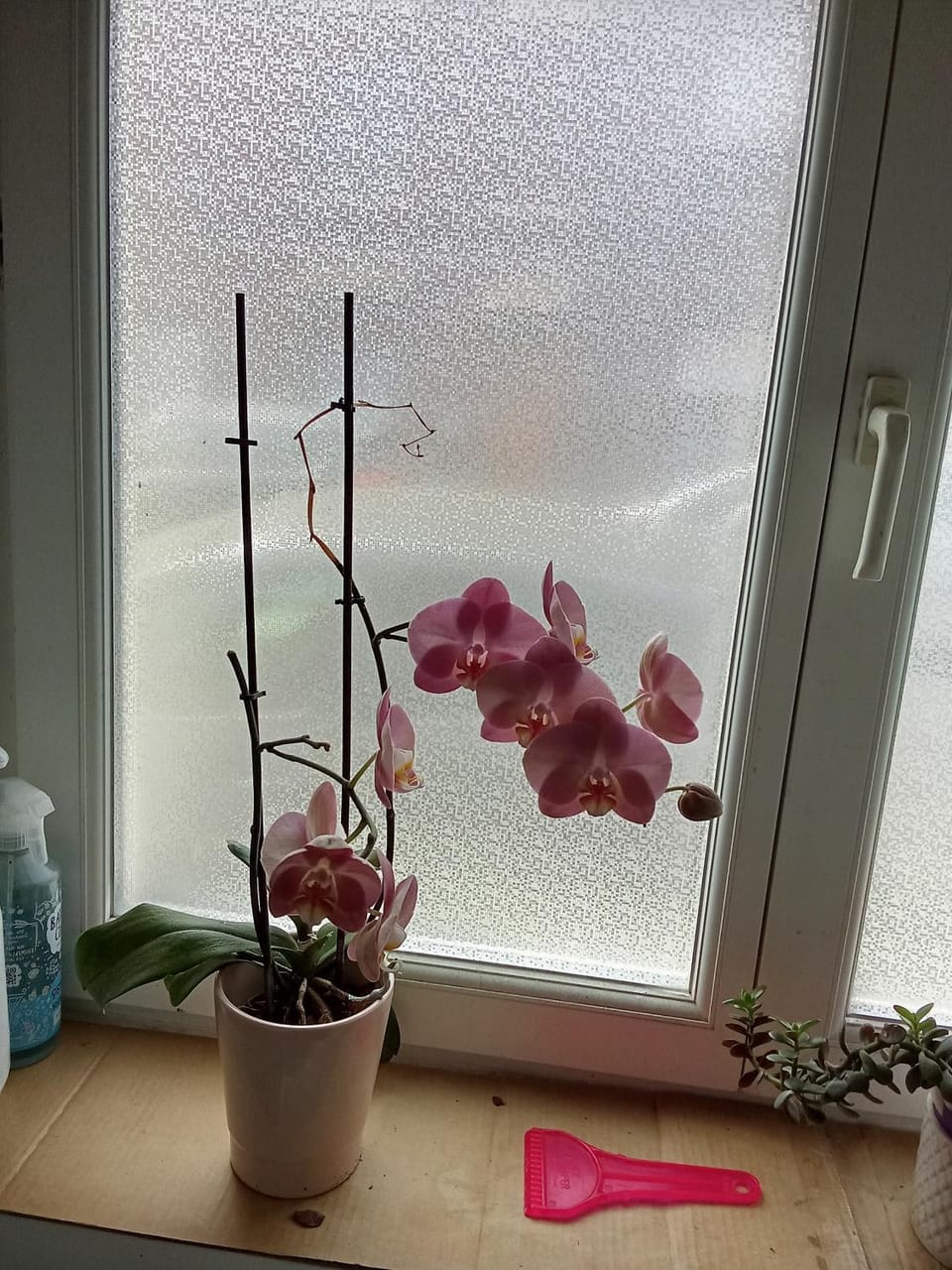 Noël centre Lille Apartment in Lille