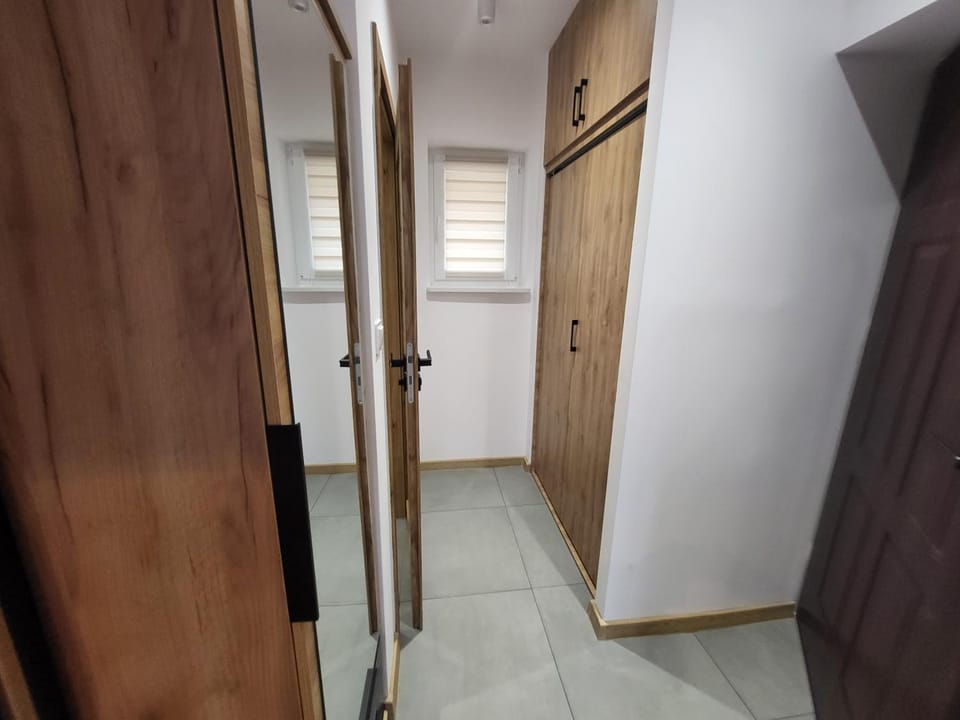 AS ELITE Apartament -Studio Centrum parking Apartment in Czechia
