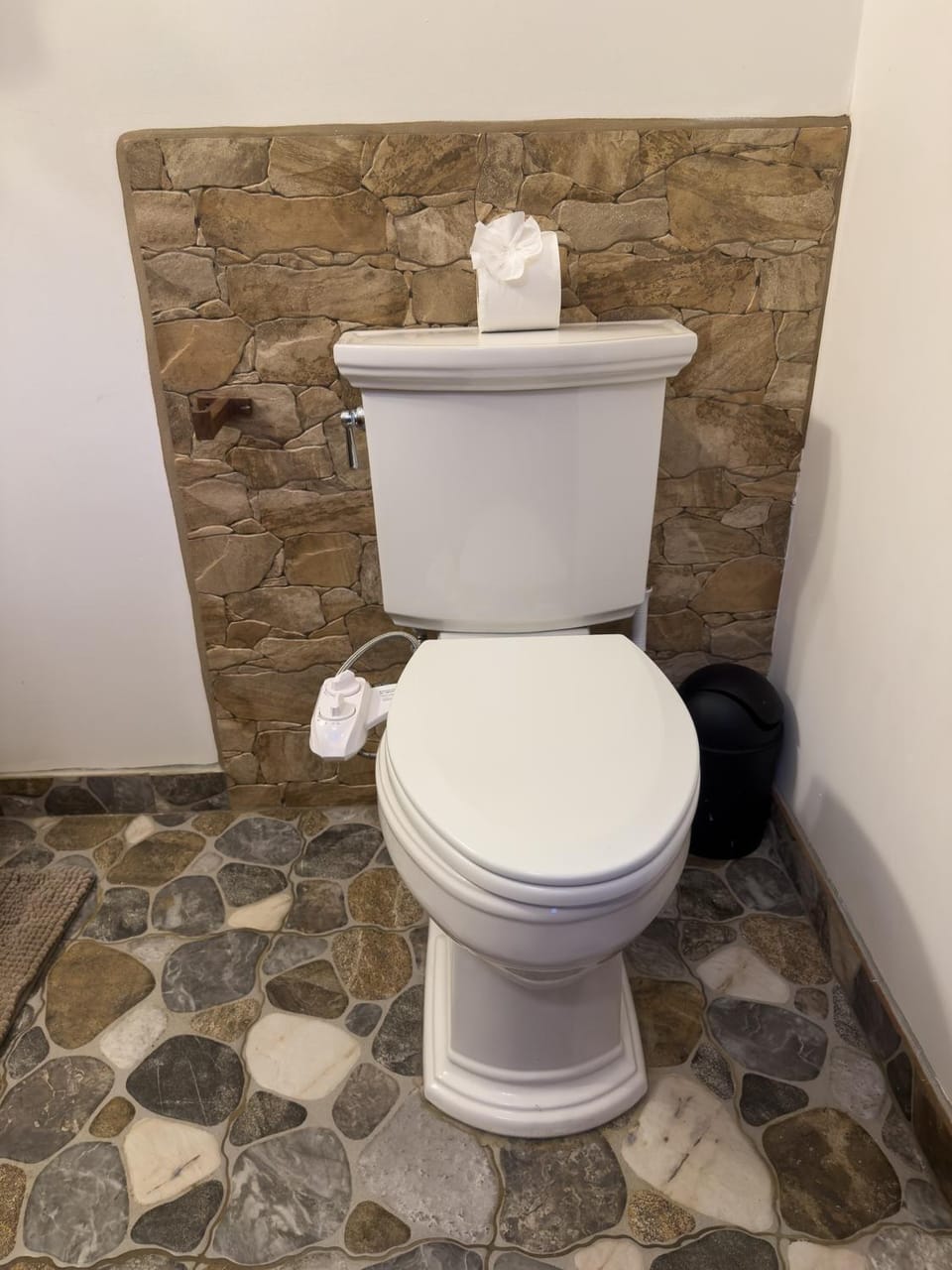 Toilet, Bathroom, bidet