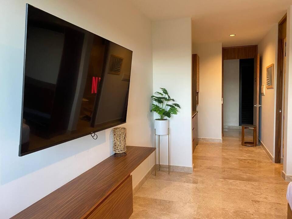 TV and multimedia