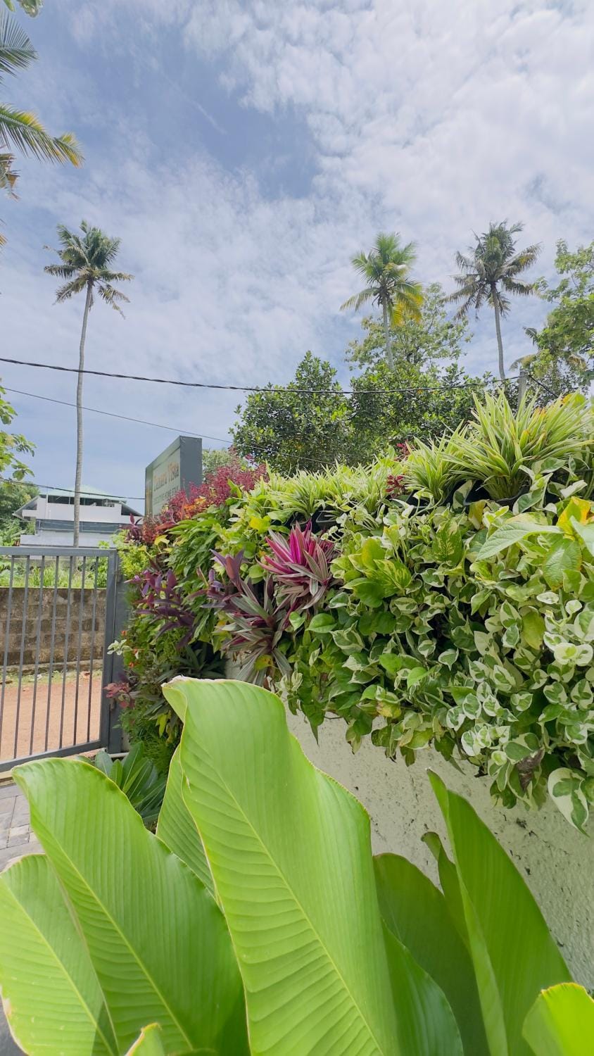 TAMARA VISTA Executive Homestay Vacation rental in Varkala