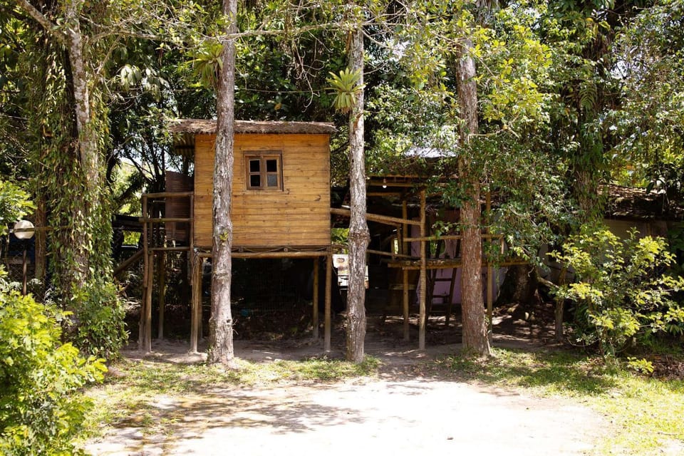 Patronos - Chalés e Camping Nature lodge in Peruíbe