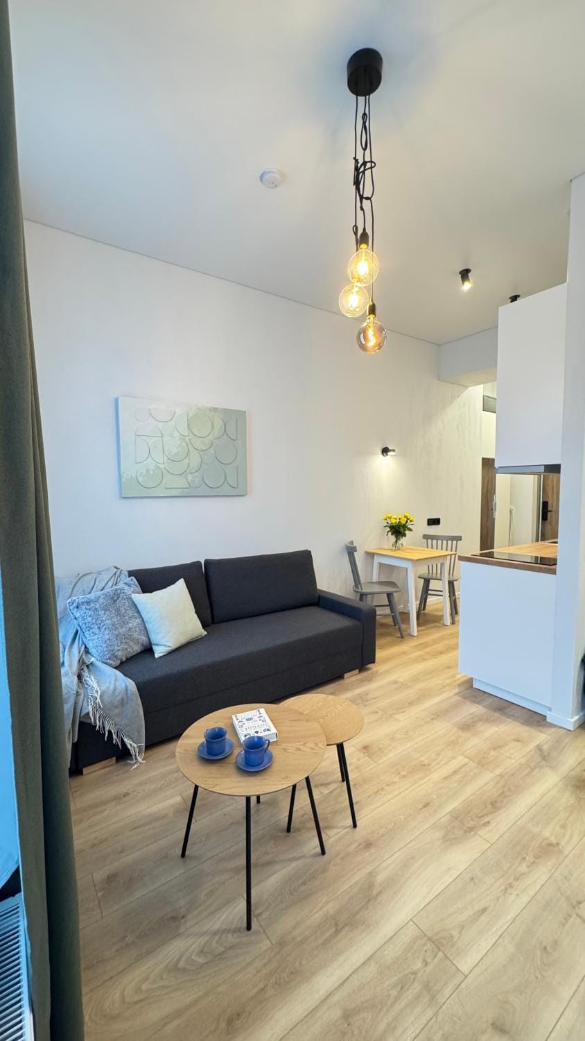 Kitchen or kitchenette, Living room, Seating area, Dining area