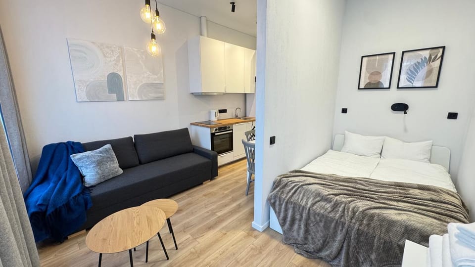 Bed, Kitchen or kitchenette, Living room, Seating area, Bedroom