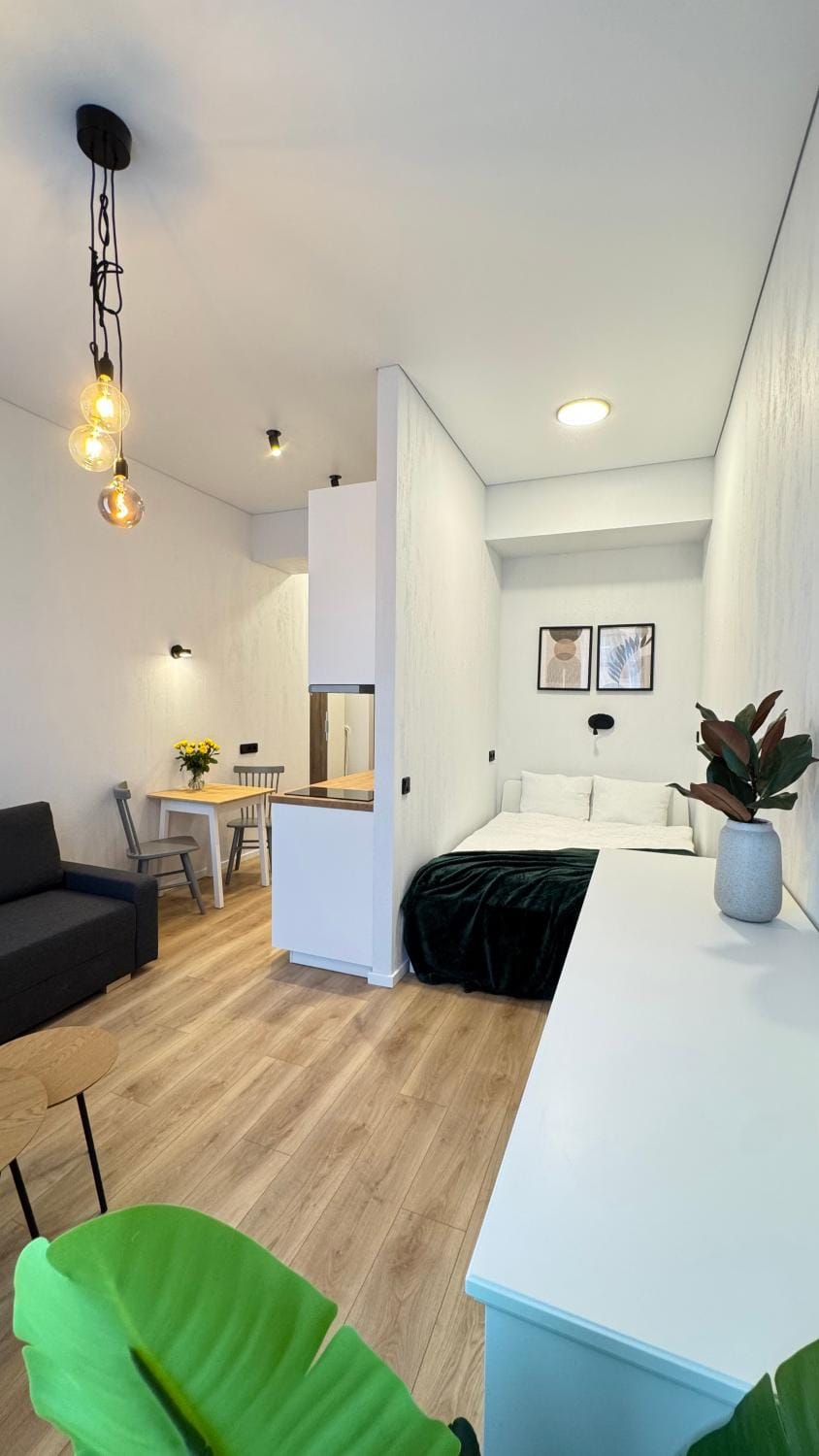 Bed, Living room, Photo of the whole room, Seating area, Bedroom