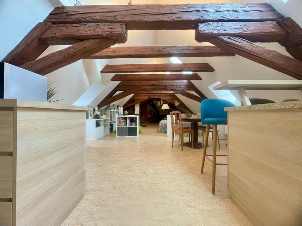 Loft de la Chartreuse Gravelotte Apartment in Eckbolsheim