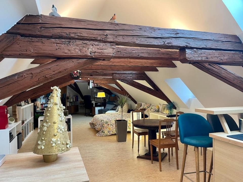 Loft de la Chartreuse Gravelotte Apartment in Eckbolsheim