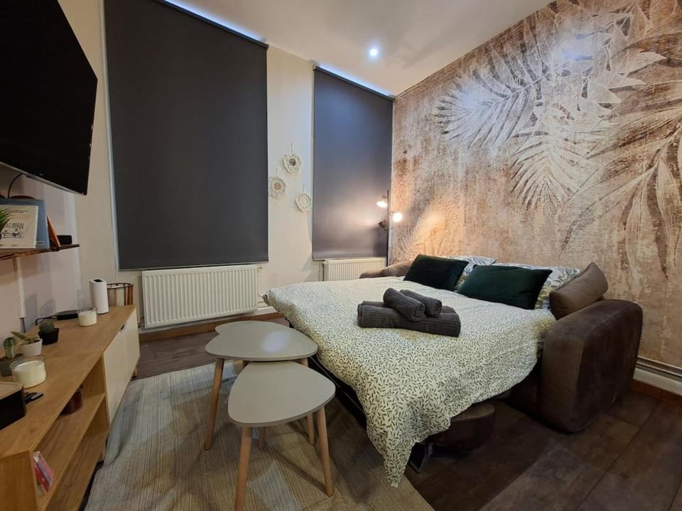 L'elegant hyper centre Apartment in Dunkirk