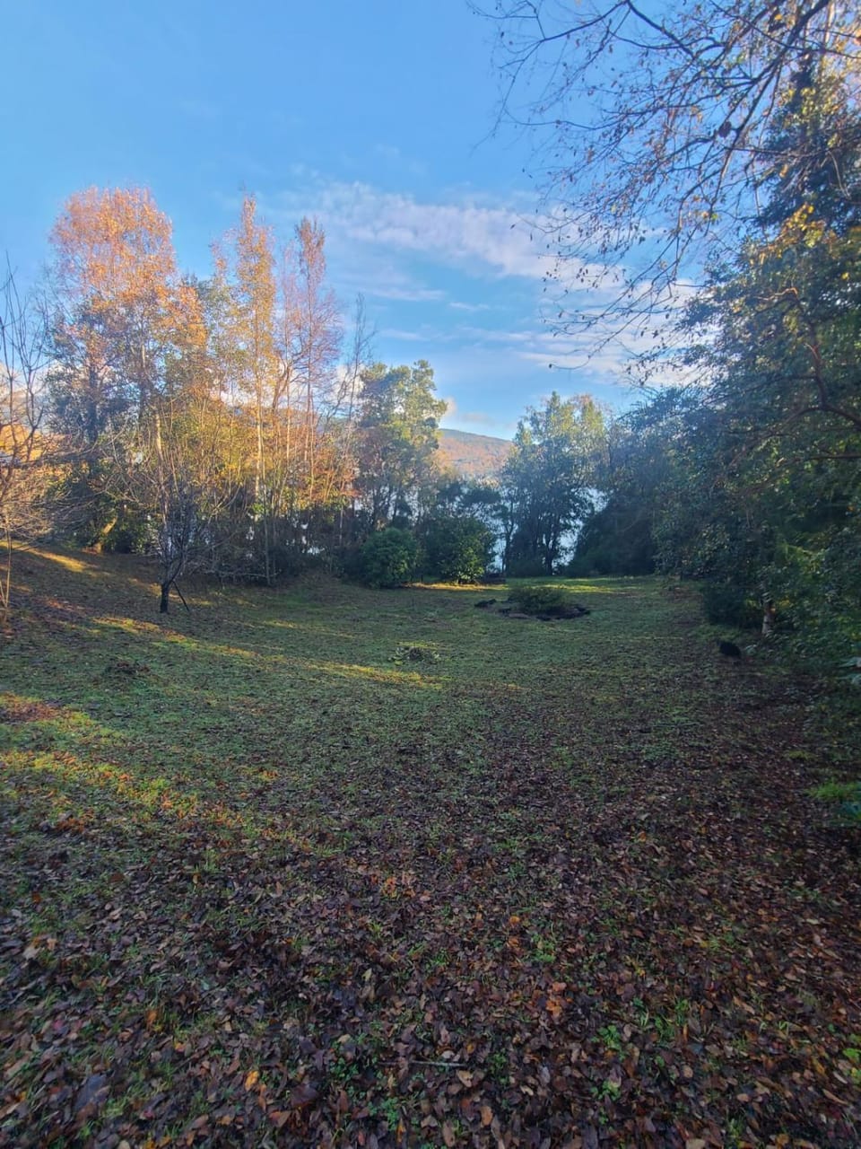 Off site