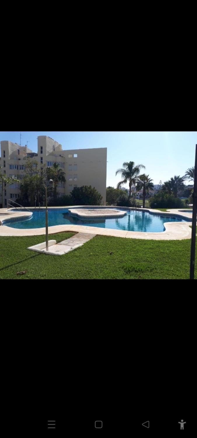 Garden, Swimming pool