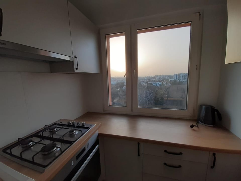 oven