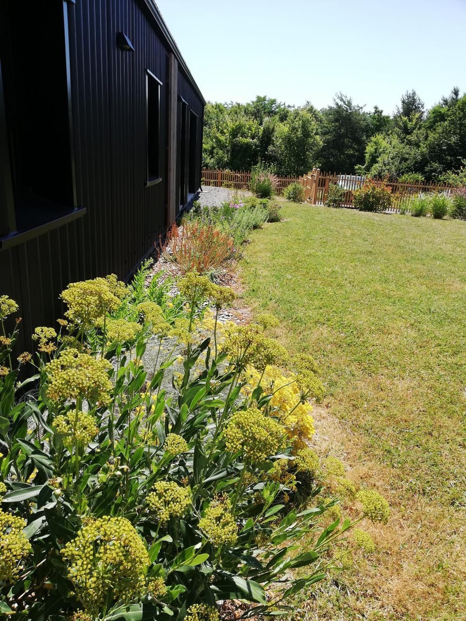 Garden view