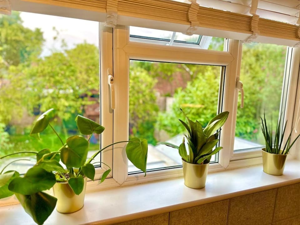 Family Studio Garden view 5min to Elizabeth Line Apartment in London Borough of Ealing