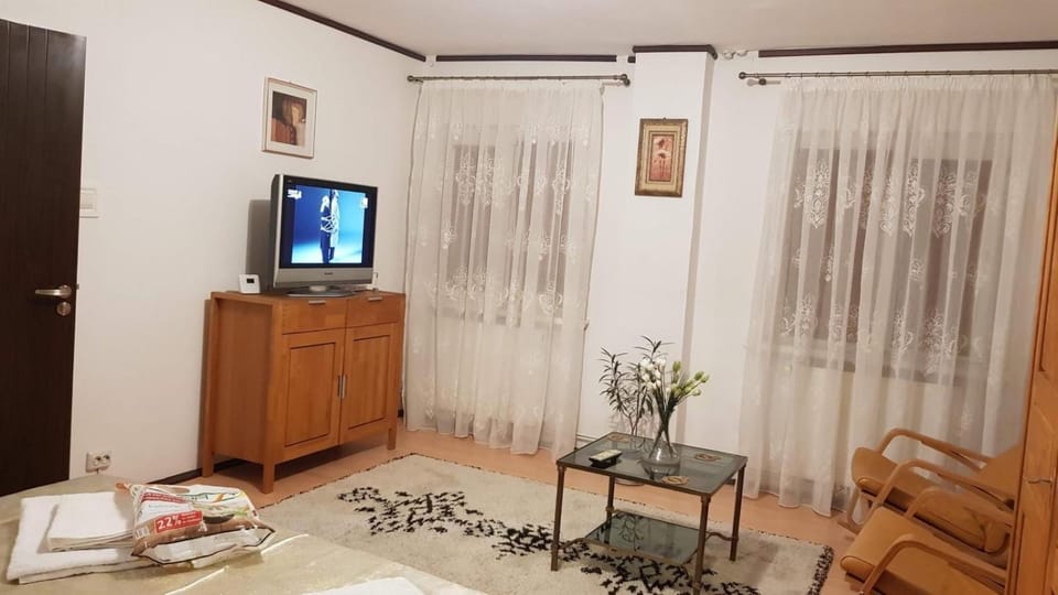 Garsoniera utilata George Enescu Apartment in Craiova