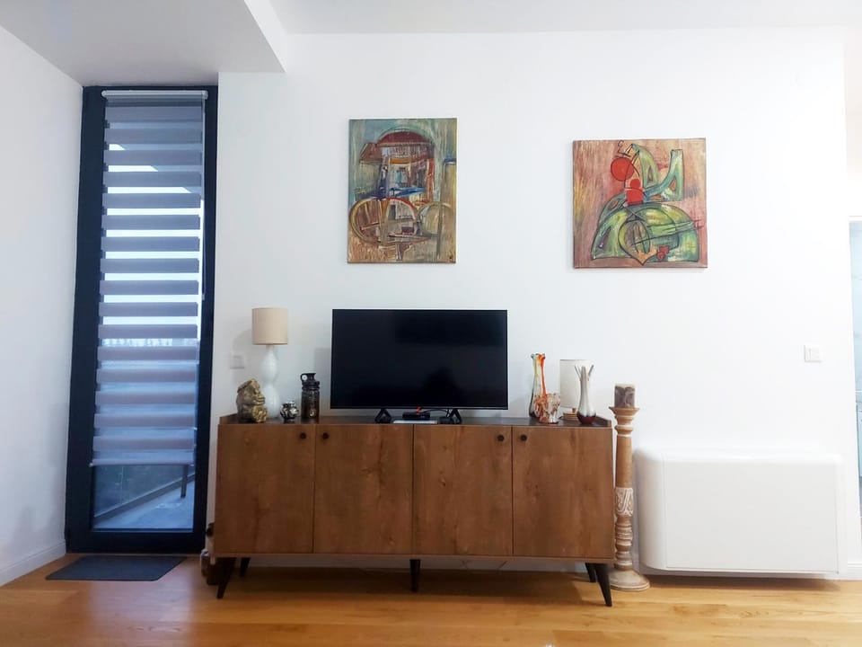 Danube Riverfront 8 Apartment in Belgrade