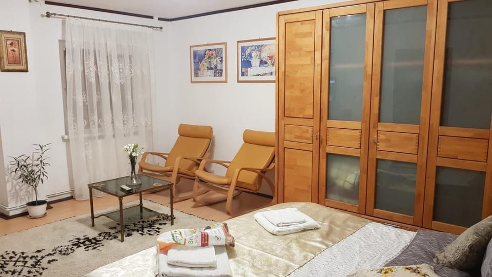 Garsoniera utilata George Enescu Apartment in Craiova