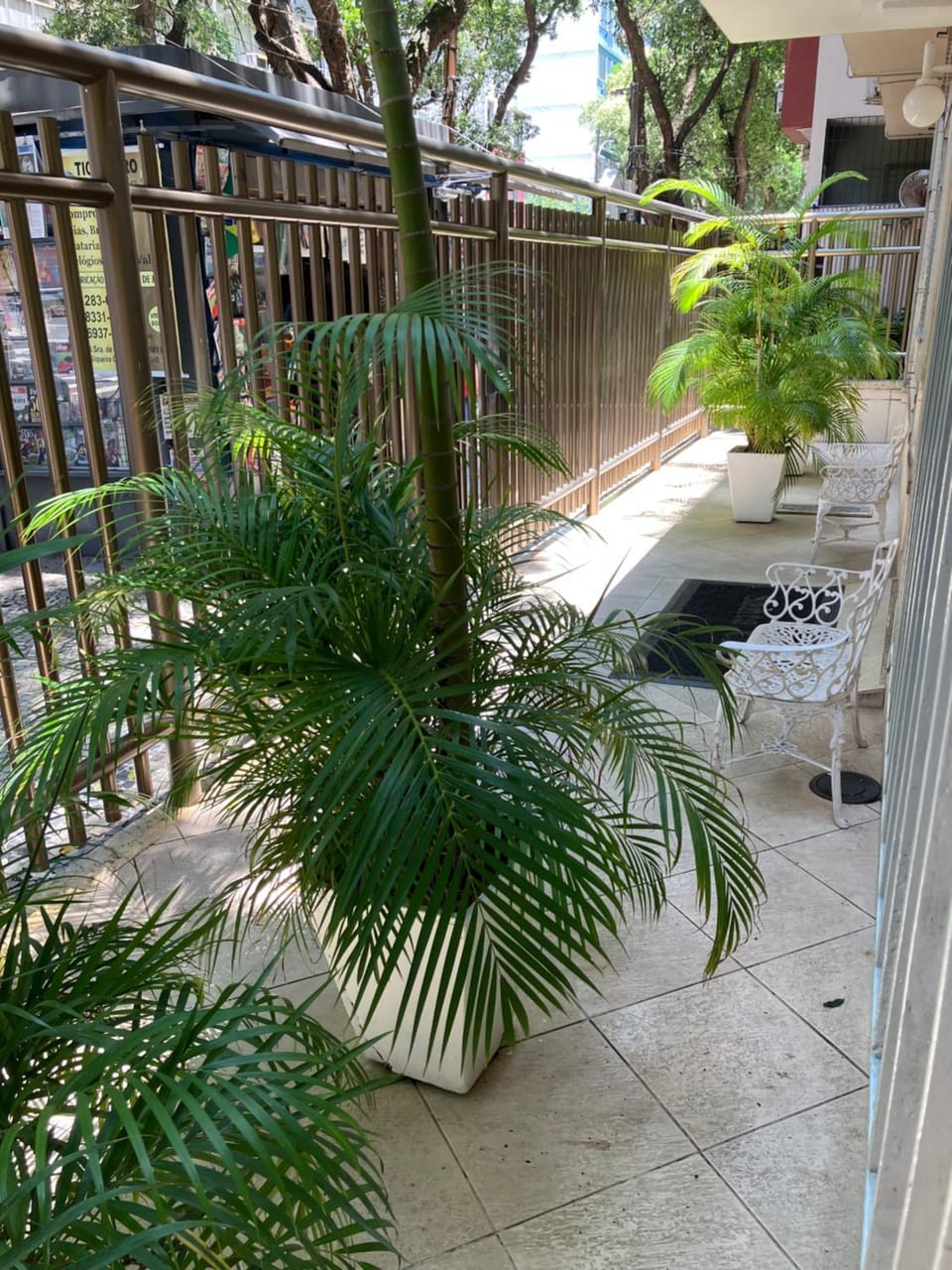 Garden view