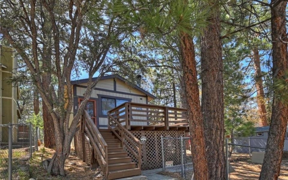 Bear Forest Cabin, Large Yard, Pet-Friendly! Cabin in Southern California