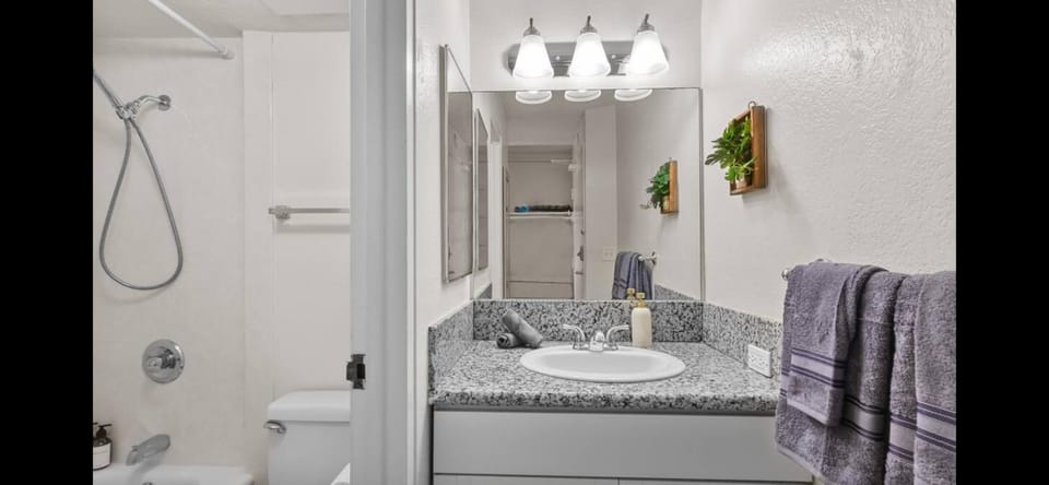 Island Ohana Hale Apartment in McCully-Moiliili