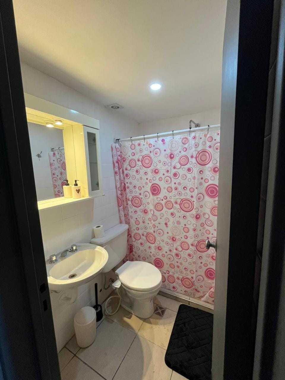 Mendoza Centro Necochea 85 Apartment in Mendoza