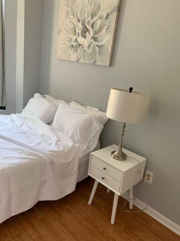 South Loop 4 Bedroom apt Apartment in South Loop