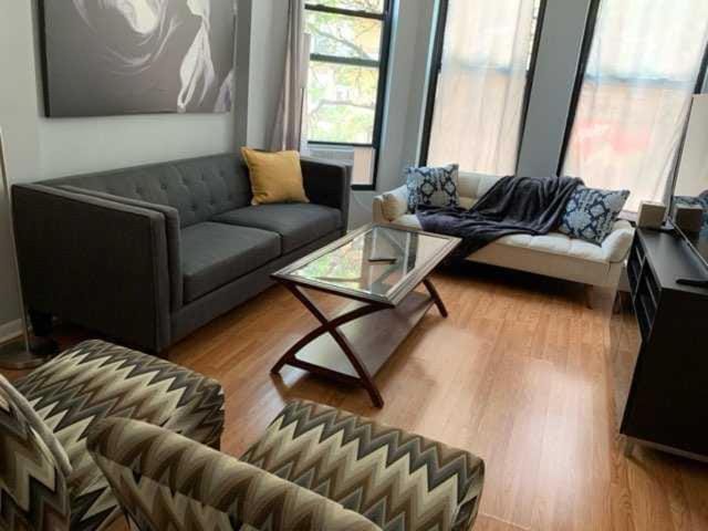 South Loop 4 Bedroom apt Apartment in South Loop