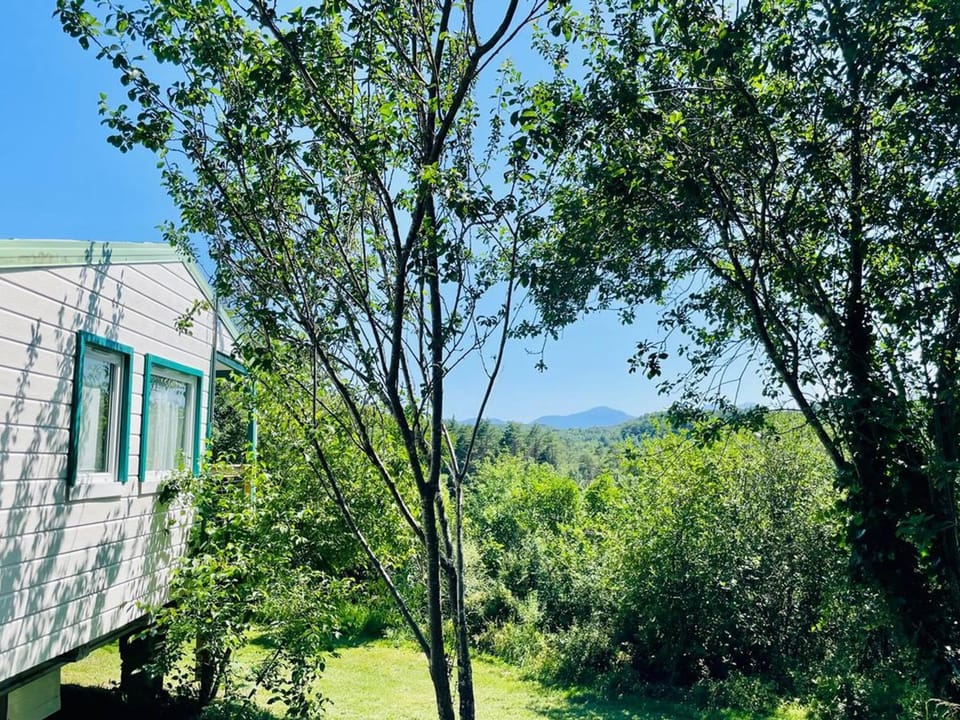 Chalet cosy avec terrasse pour 4 personnes - API-1-52-919 Campground/ 
RV Resort in Occitanie