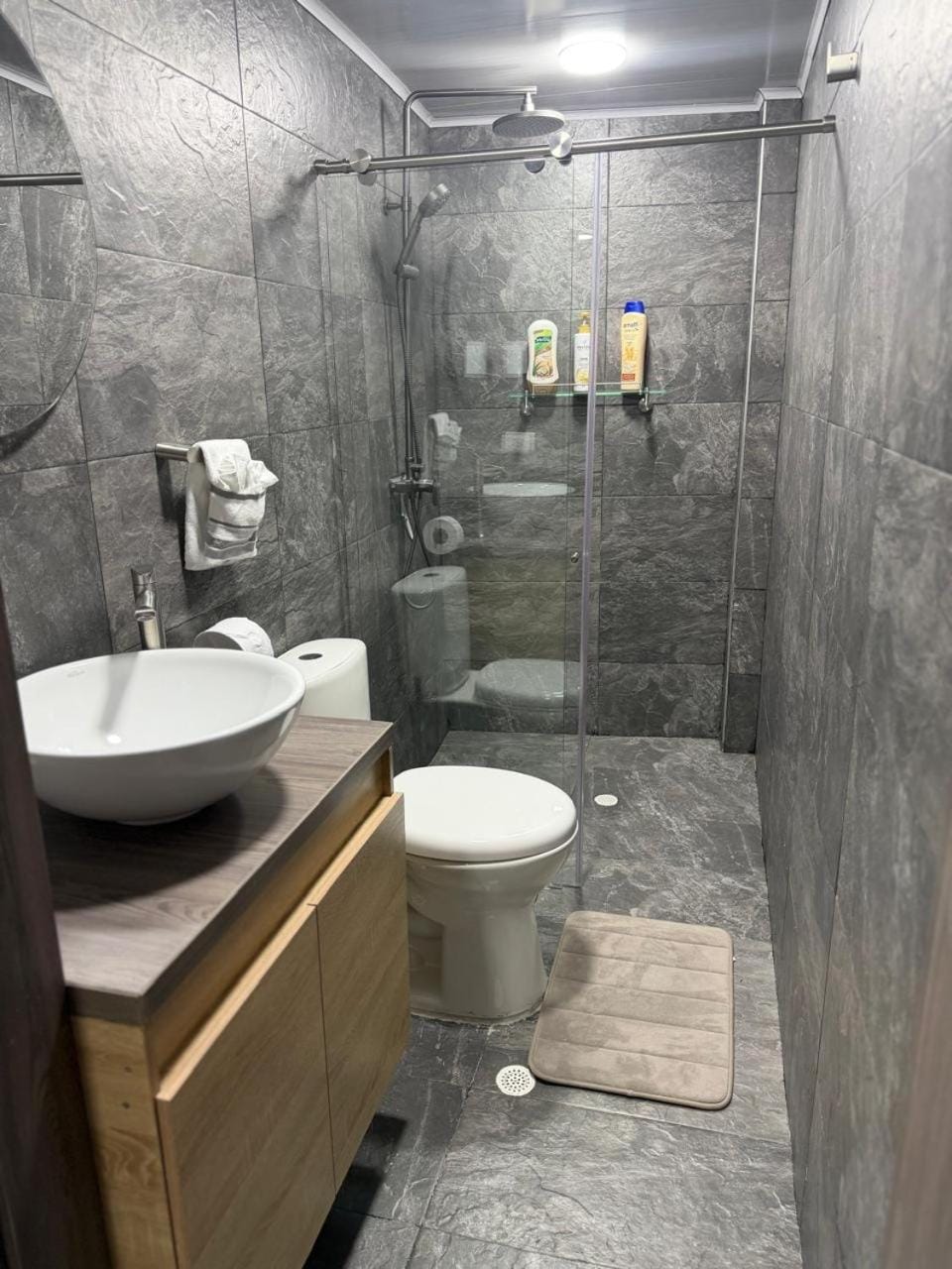Shower, Toilet, Bathroom, towels