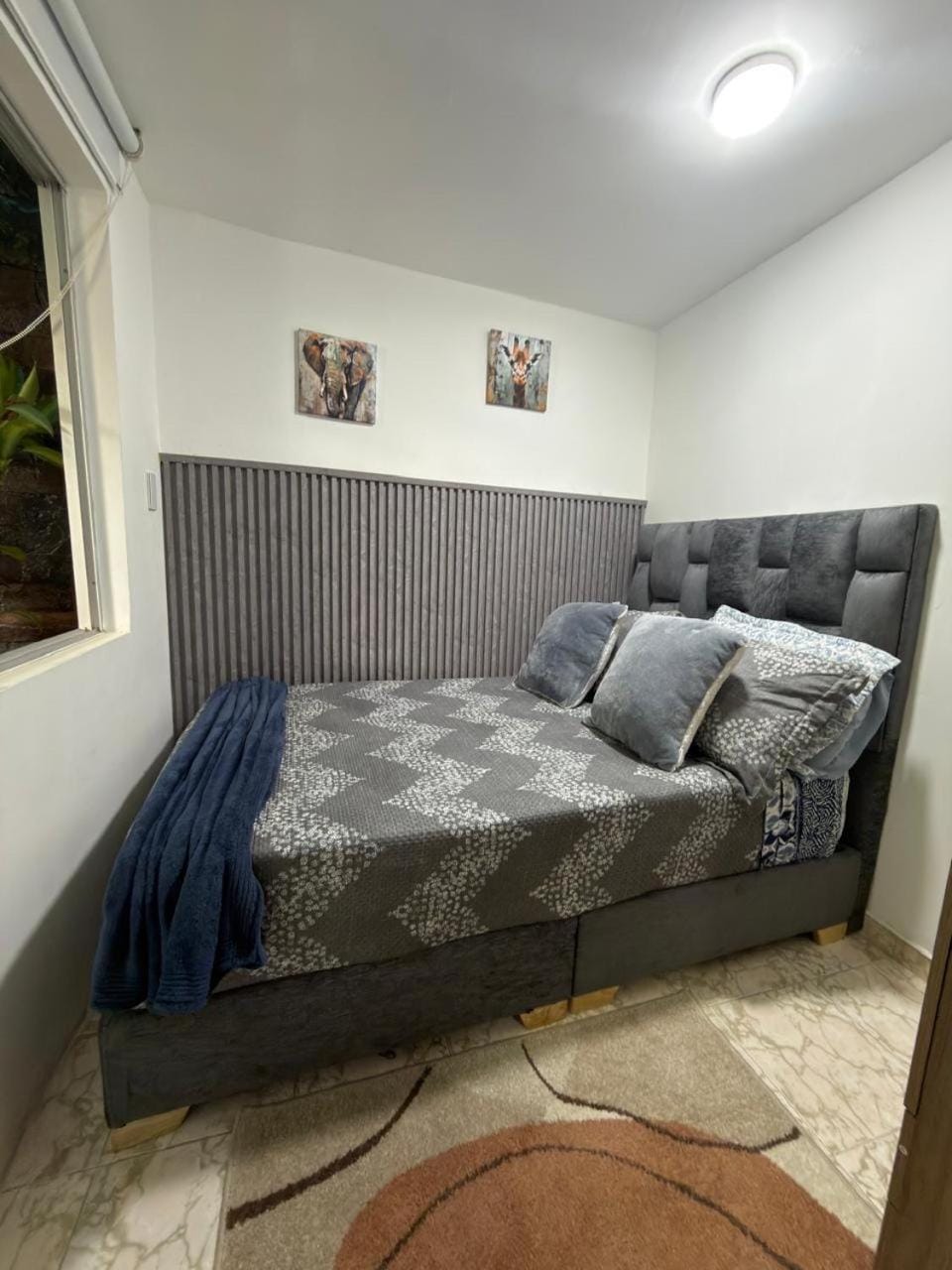Bed, Photo of the whole room, Seating area