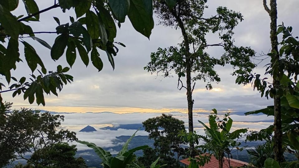 Rural Cabin Among Clouds Támesis Cabin in Caldas, Colombia