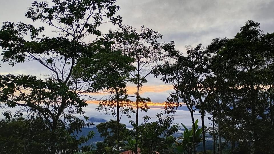 Rural Cabin Among Clouds Támesis Cabin in Caldas, Colombia