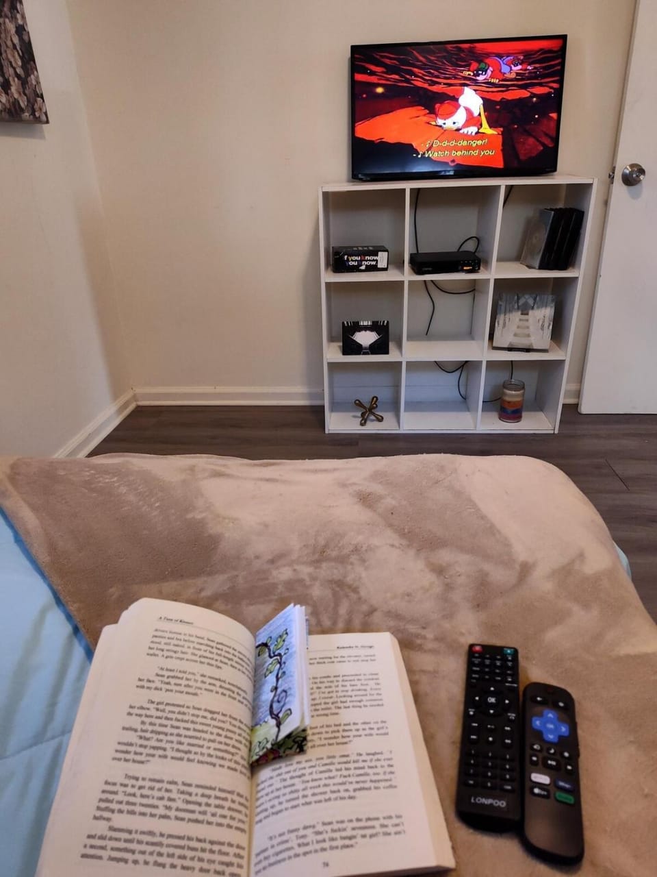 Bed, Library, TV and multimedia, Evening entertainment, Bedroom