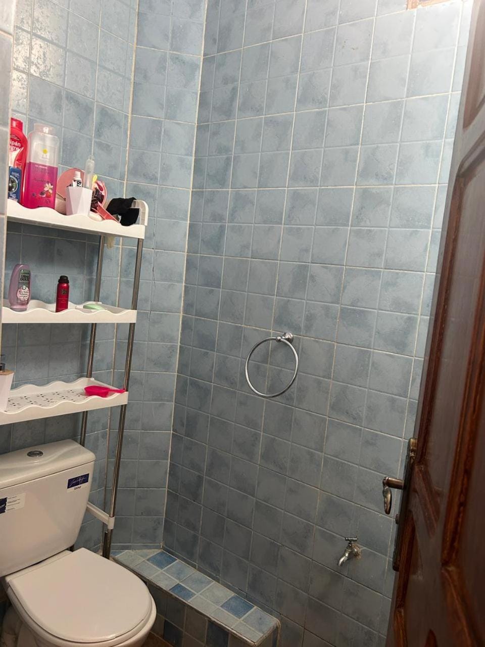 Shower, Toilet