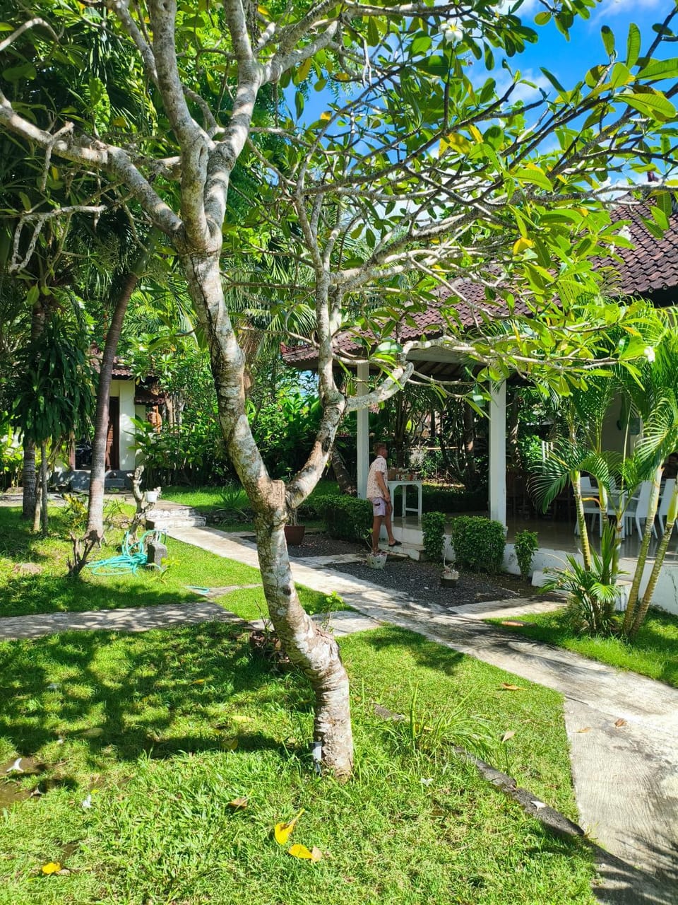 A Cozy Room in Bingin Sari Homestay - Uluwatu Bed and Breakfast in Bali