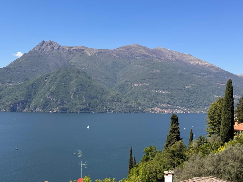 Lake view