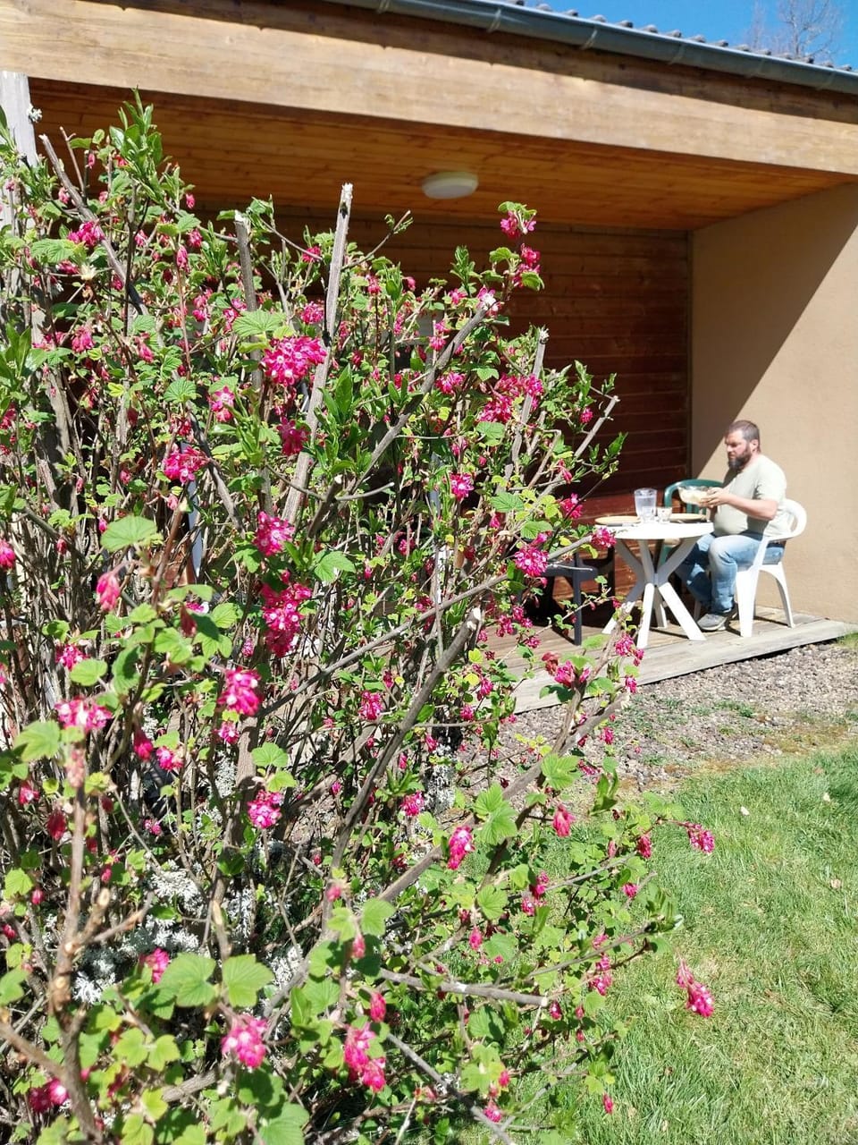 Patio, Dining area, Garden view, sunbed
