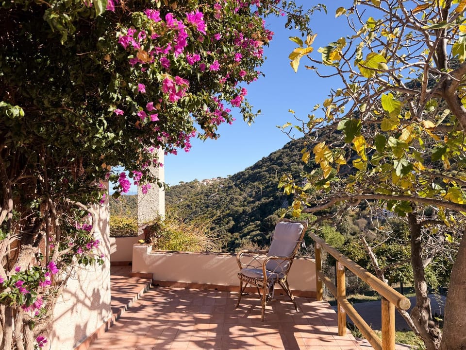 Balcony/Terrace, Garden view