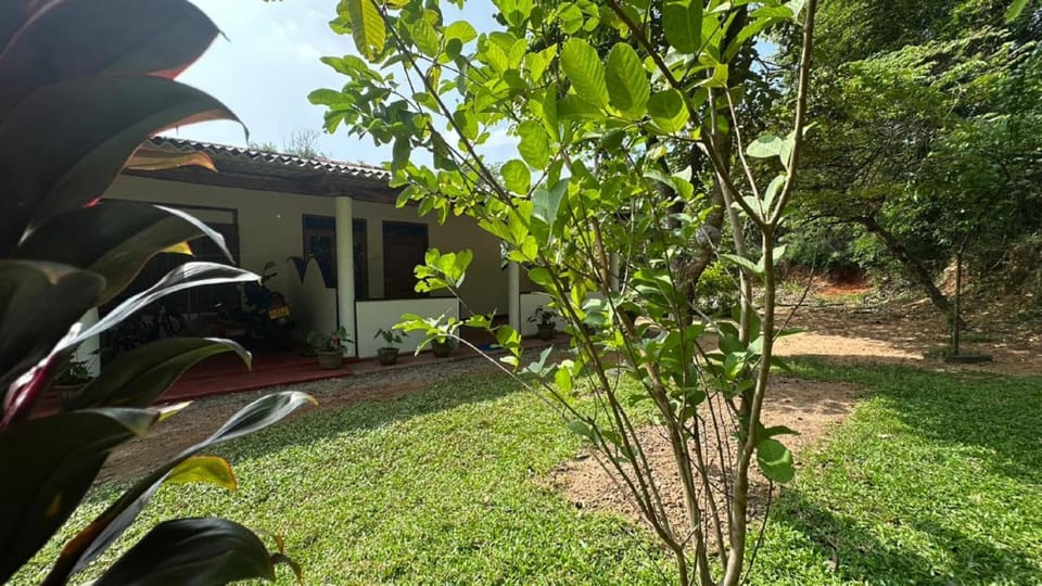 Property building, Garden, Garden view