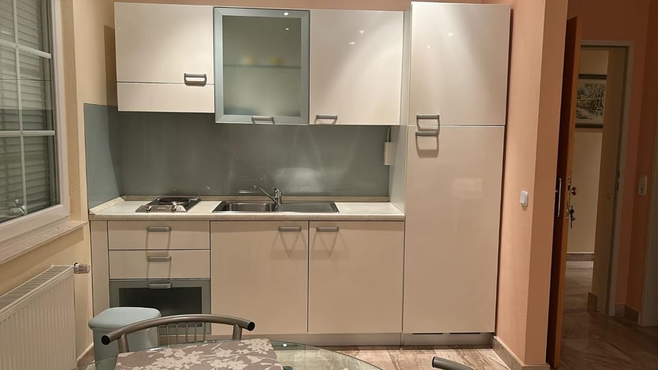 Kitchen or kitchenette, pet friendly