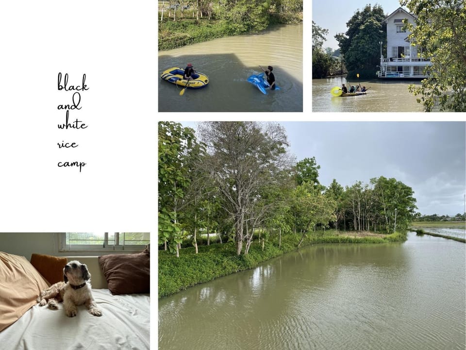 black & white rice camp แบล็กแอนด์ไวต์ไรซ์แคมป์ House in Thailand
